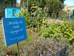 summer vegetables at haight elementary garden